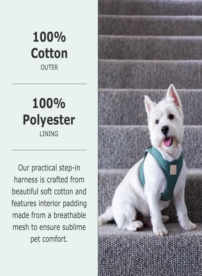 FuzzYard Life Step in Dog Harness | Size L | Stylish Premium Cotton Design in Myrtle Green Perfect for Everyday Walks - Image 5